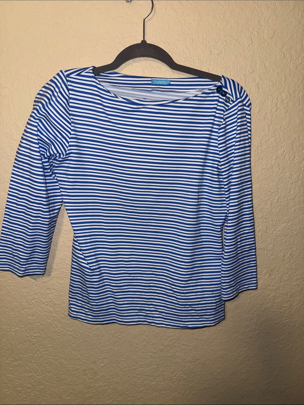J. McLaughlin Blue and White Striped Boatneck Long Sleeve Top